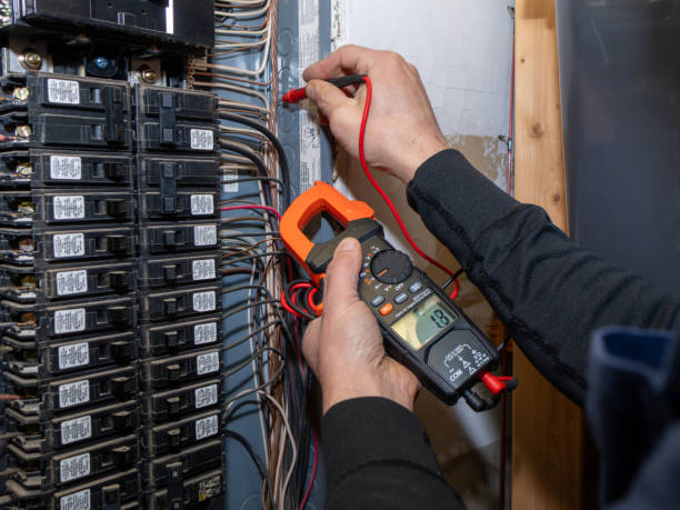 Best Electrical Troubleshooting Services  in New Brockton, AL
